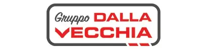 dalla vecchia fabrizio & c. spa